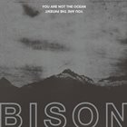 BISON You Are Not The Ocean You Are The Patient album cover