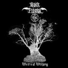 BLACK FUNERAL Waters of Weeping album cover