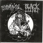 BLACK LUNG DIY 303 album cover