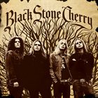 BLACK STONE CHERRY Black Stone Cherry album cover