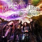 BLACK STONE CHERRY Magic Mountain album cover