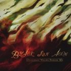 BLACK SUN AEON Darkness Walks Beside Me album cover