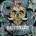 BLACK TUSK Low Country album cover