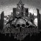 BLEEDING IN DESPERATION The Dark Delight album cover