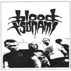 BLOOD TSUNAMI Demo 2012 album cover