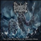 BLOODAXE For Those Who Hunt the Wounded Down album cover