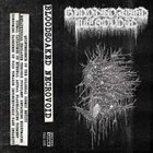 BLOODSOAKED NECROVOID Demo 1 album cover