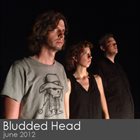 BLUDDED HEAD Violitionist Sessions (2012) album cover