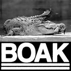 BOAK II album cover