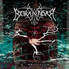 BORKNAGAR Empiricism album cover