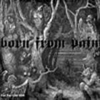 BORN FROM PAIN Born From Pain / Iron Skull album cover