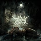 BRADI CEREBRI ECTOMIA Mangled Perception album cover