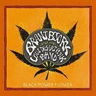 BRANT BJORK Black Power Flower album cover