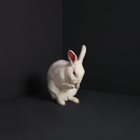 BRUME Rabbits album cover