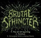 BRUTAL SPHINCTER Brutal Sphincter album cover
