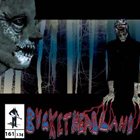 BUCKETHEAD — Pike 161 - Bats In The Lite Brite album cover