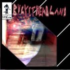 BUCKETHEAD Pike 172 - Crest Of THe Hill album cover