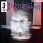 BUCKETHEAD Pike 211 - Screen Door album cover