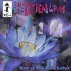 BUCKETHEAD — Pike 32 - Rise Of The Blue Lotus album cover