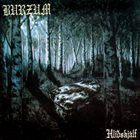 BURZUM Hliðskjálf album cover