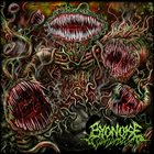 BYONOISEGENERATOR Turbulent Biogenesis album cover