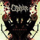 CADAVER Necrosis album cover