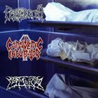 CADAVERIC INCUBATOR Cadaveric Incubator / Fetal Decay / Mortalized album cover