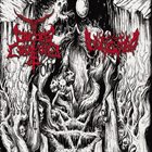 CAEDES CRUENTA Congregation of the Black Gods album cover