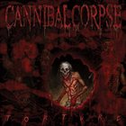 CANNIBAL CORPSE — Torture album cover