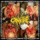 CANNIBE A Basket of Vaginal Maggots (Unreleased Collection of Purulent Stuff) album cover