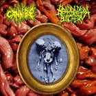 CANNIBE Cannibe / Bbarbapappa Butchery album cover