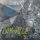 CAPSULE No Ghost album cover