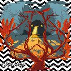 CAVE MOTH The Black Lodge album cover