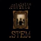 CELELALTE CUVINTE Stem album cover