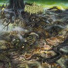 CEREBRAL ROT Odious Descent into Decay album cover