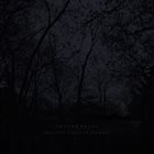 CHROME WAVES The Cold Light Of Despair album cover