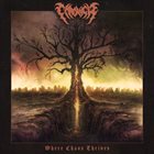 CHRONICLE Where Chaos Thrives album cover