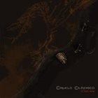 CIRUELO CILÍNDRICO C'est Fini album cover