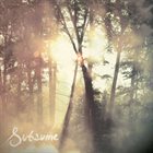 CLOUDKICKER Subsume album cover