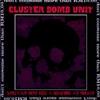 CLUSTER BOMB UNIT You Can Not Kill A Master At Night album cover