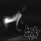 COCKSPANK Grim Body Exploration / Rhinoderma Phylogeny album cover