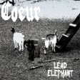 COEUR Led Elephant album cover