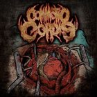 COMMOTIO CORDIS Commotio Cordis album cover