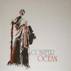 CONIFER Conifer / Ocean album cover