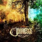 CONVALESCE Decisions album cover