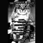 CORRUPT VISION The Baggie Split Vol. 5 album cover