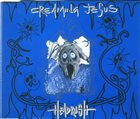 CREAMING JESUS Headrush album cover