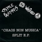 CRIPPLE BASTARDS Chaos Non Musica album cover