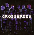 CROSSBREED Synthetic Sampler album cover