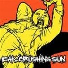 CRUSHING SUN Bipolar album cover